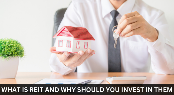 What Is REIT