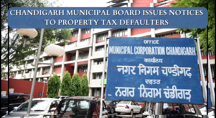 property Tax